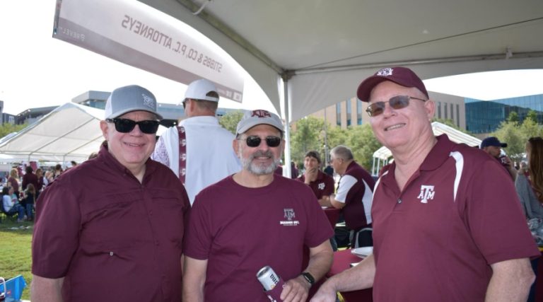 Stibbs and Co – 4 768x427