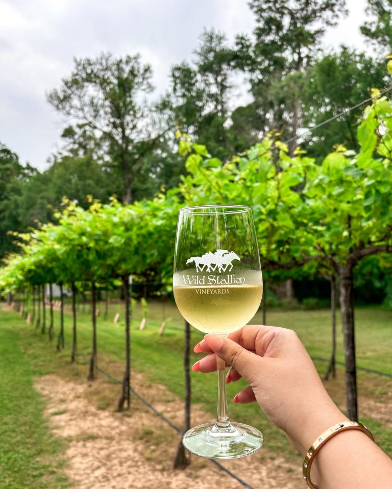 438239761 18426841822030537 1982874284755466993 n 768x958