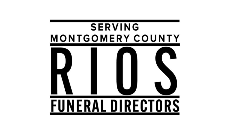 Website Logos 23 768x448