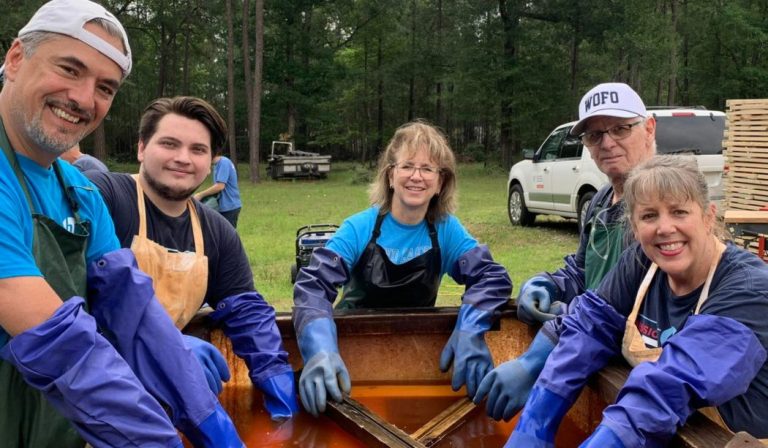 Website Logos 34 768x448