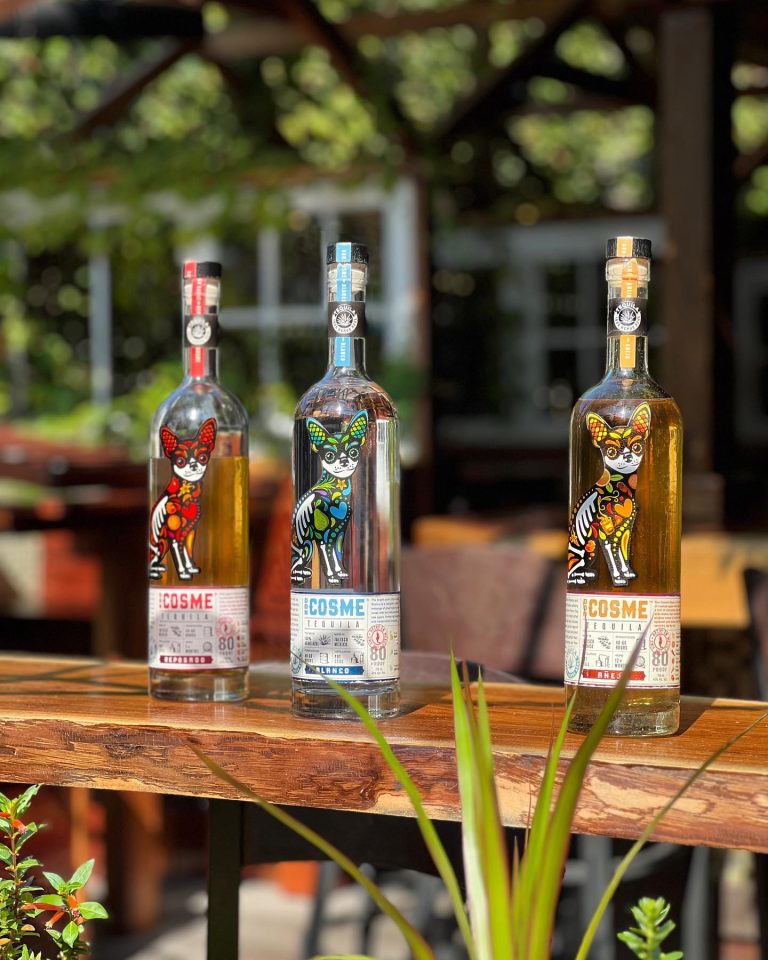 363340954 294118053169095 9145887761119671938 n 768x960